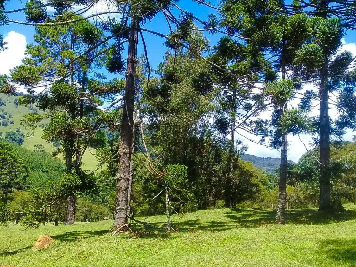 Sitio Refugio Das Araucarias Gonçalves Exteriör bild