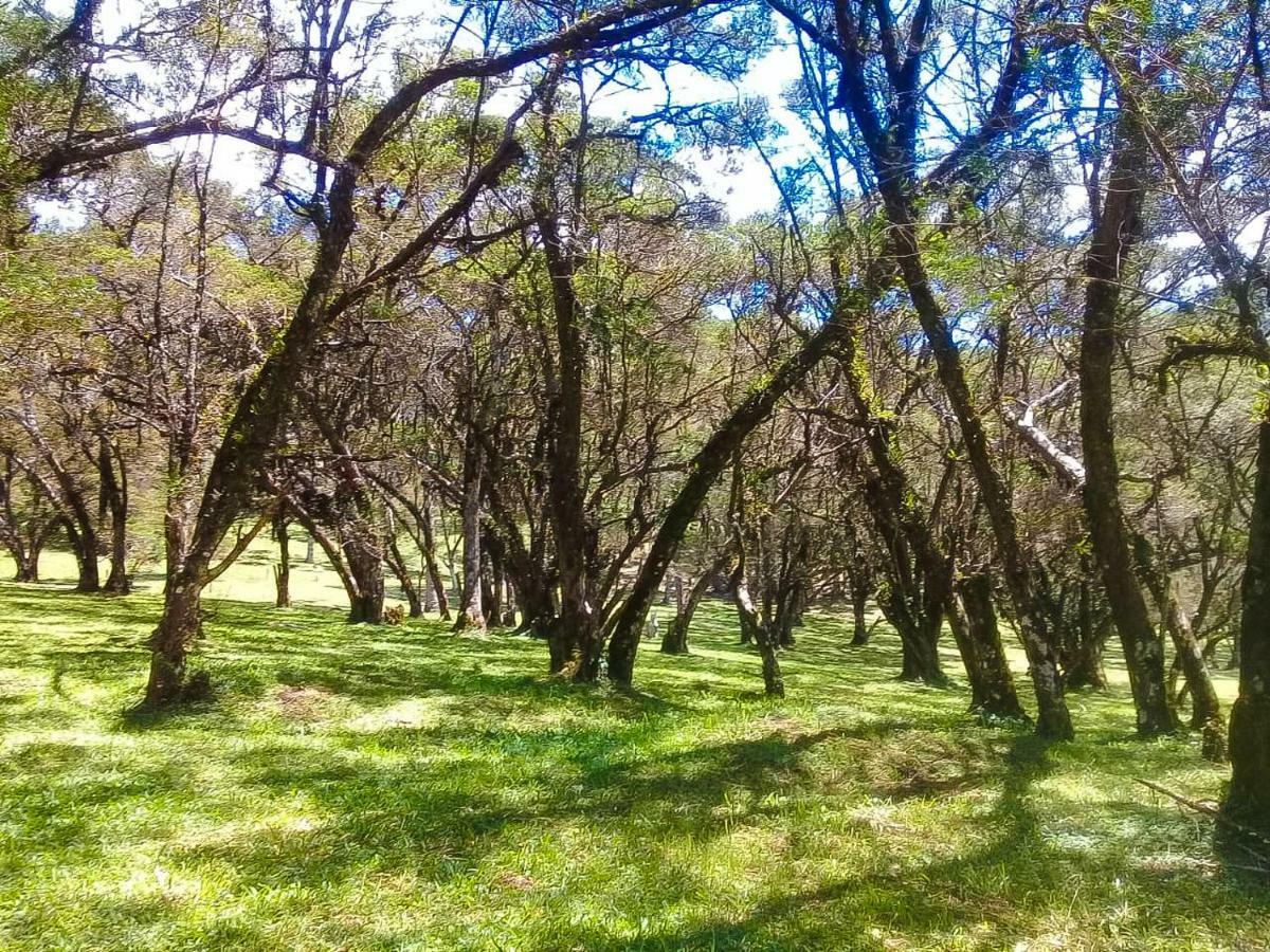 Sitio Refugio Das Araucarias Gonçalves Exteriör bild